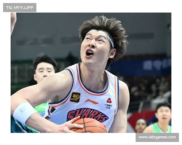 王哲林内线攻坚，上海进攻体系核心